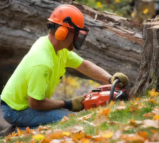 tree services South Kensington